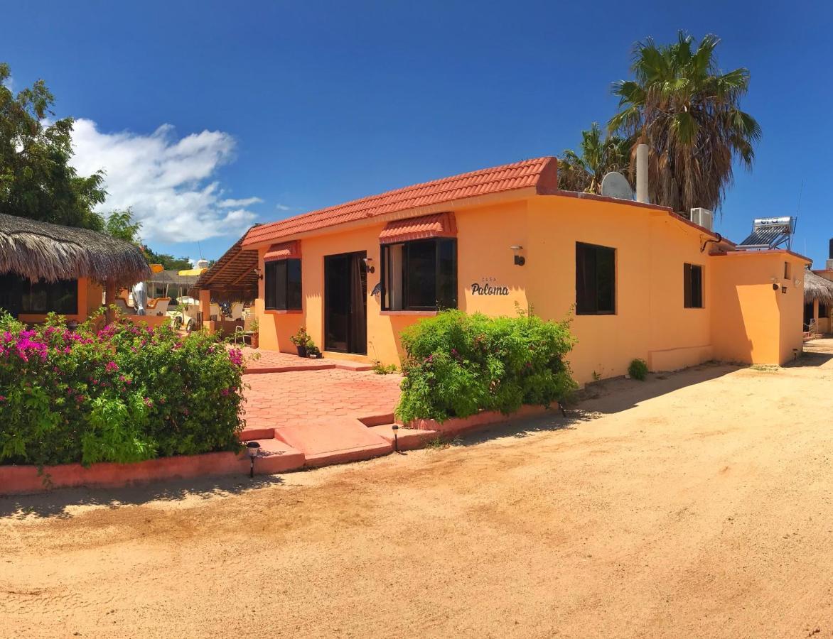 Bungalows Cabo Pulmo Exterior foto