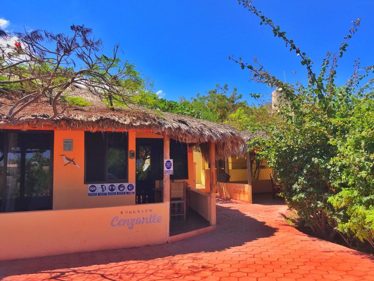 Bungalows Cabo Pulmo Exterior foto